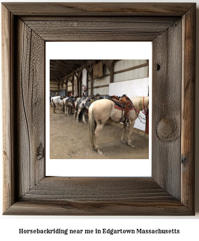 horseback riding near me in Edgartown, Massachusetts